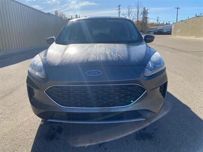 2020 Ford Escape SE  AWD - Photo 3 - St Albert, AB T8N 3Z7