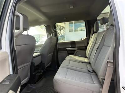 2020 Ford F-150 XLT 5.0L 4x4 - Photo 12 - St Albert, AB T8N 3Z7