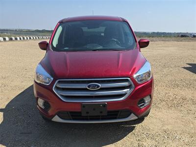 2019 Ford Escape SE   - Photo 4 - Acheson, AB T7X 5A3