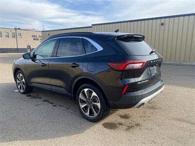2024 Ford Escape Platinum  AWD - Photo 6 - St Albert, AB T8N 3Z7