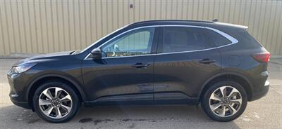 2024 Ford Escape Platinum  AWD - Photo 2 - St Albert, AB T8N 3Z7