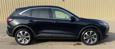 2024 Ford Escape Platinum  AWD - Photo 4 - St Albert, AB T8N 3Z7