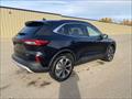 2024 Ford Escape Platinum  AWD - Photo 8 - St Albert, AB T8N 3Z7