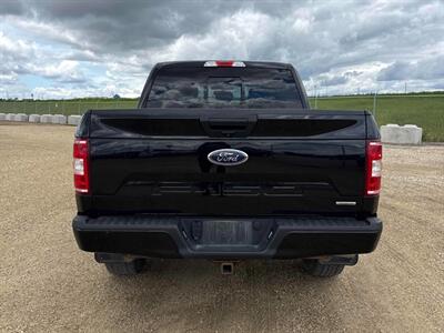 2019 Ford F-150 XLT FX4 3.5L Eco Boost  4x4 - Photo 8 - St Albert, AB T8N 3Z7