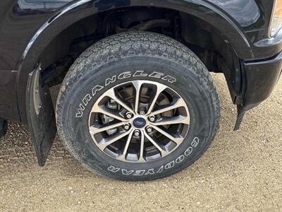 2019 Ford F-150 XLT FX4 3.5L Eco Boost  4x4 - Photo 15 - St Albert, AB T8N 3Z7