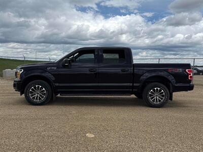 2019 Ford F-150 XLT FX4 3.5L Eco Boost  4x4 - Photo 3 - St Albert, AB T8N 3Z7