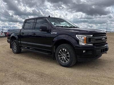 2019 Ford F-150 XLT FX4 3.5L Eco Boost  4x4 - Photo 4 - St Albert, AB T8N 3Z7