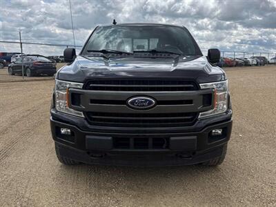 2019 Ford F-150 XLT FX4 3.5L Eco Boost  4x4 - Photo 5 - St Albert, AB T8N 3Z7