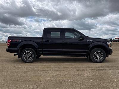 2019 Ford F-150 XLT FX4 3.5L Eco Boost  4x4 - Photo 6 - St Albert, AB T8N 3Z7