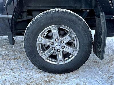 2023 Ford F-150 XLT XTR  4X4 - Photo 13 - St Albert, AB T8N 3Z7