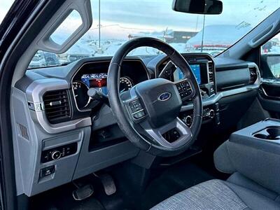 2023 Ford F-150 XLT XTR  4X4 - Photo 8 - St Albert, AB T8N 3Z7