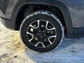 2020 Jeep Compass Upland Edition  4x4 - Photo 11 - Acheson, AB T7X 5A3