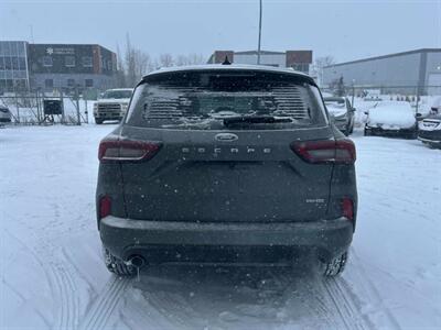 2024 Ford Escape ST-Line  AWD - Photo 7 - St Albert, AB T8N 3Z7