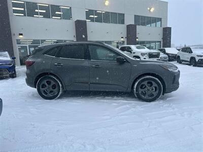 2024 Ford Escape ST-Line  AWD - Photo 5 - St Albert, AB T8N 3Z7