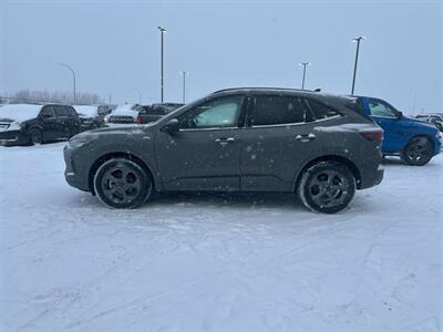 2024 Ford Escape ST-Line  AWD - Photo 2 - St Albert, AB T8N 3Z7