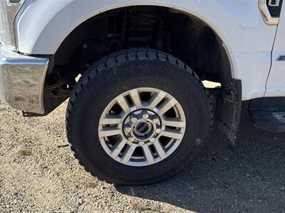2019 Ford F-250 Super Duty XL Power Stroke 6.7L diesel V8   - Photo 13 - Edmonton, AB T5L 2J7