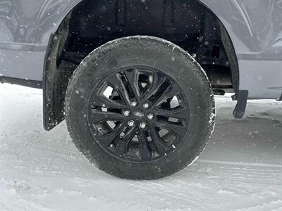 2024 Ford F-150 XLT Sport 3.5L Eco Boost  4x4 - Photo 18 - St Albert, AB T8N 3Z7