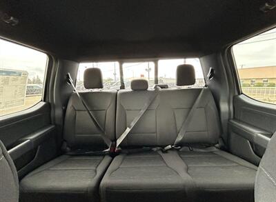 2024 Ford F-150 XLT Sport FX4 4x4 - Photo 18 - St Albert, AB T8N 3Z7
