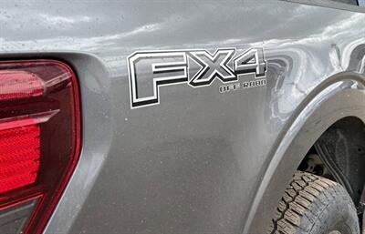 2024 Ford F-150 XLT Sport FX4 4x4 - Photo 9 - St Albert, AB T8N 3Z7