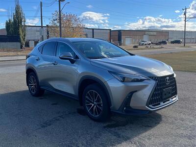 2024 Lexus NX 250  AWD - Photo 7 - Edmonton, AB T5L 2J7