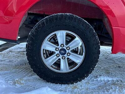 2020 Ford F-150 XL Sport  4X4 - Photo 17 - Acheson, AB T7X 5A3