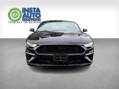 2019 Ford Mustang EcoBoost   - Photo 8 - Edmonton, AB T5L 2J7