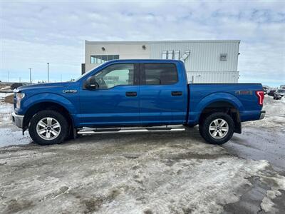 2017 Ford F-150 XLT  4x4 - Photo 3 - Acheson, AB T7X 5A3