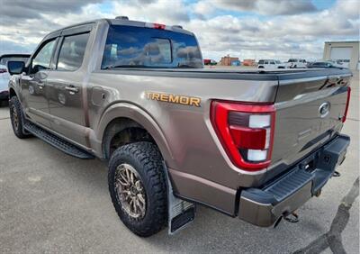 2022 Ford F-150 Tremor 4x4 - Photo 4 - St Albert, AB T8N 3Z7