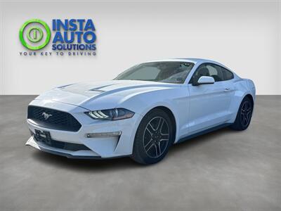 2019 Ford Mustang EcoBoost   - Photo 1 - St Albert, AB T8N 3Z7