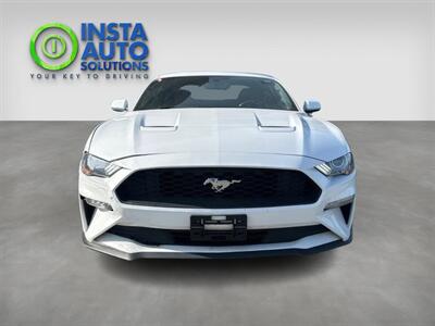 2019 Ford Mustang EcoBoost   - Photo 4 - St Albert, AB T8N 3Z7