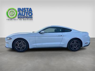 2019 Ford Mustang EcoBoost   - Photo 3 - St Albert, AB T8N 3Z7