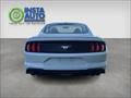 2019 Ford Mustang EcoBoost   - Photo 7 - Acheson, AB T7X 5A3