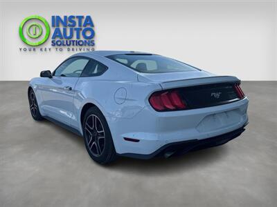 2019 Ford Mustang EcoBoost   - Photo 6 - St Albert, AB T8N 3Z7