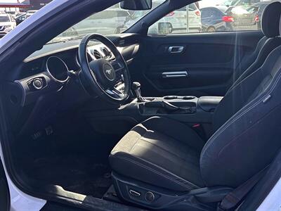 2019 Ford Mustang EcoBoost   - Photo 11 - St Albert, AB T8N 3Z7