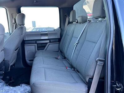 2018 Ford F-150 XLT XTR  4x4 - Photo 12 - St Albert, AB T8N 3Z7