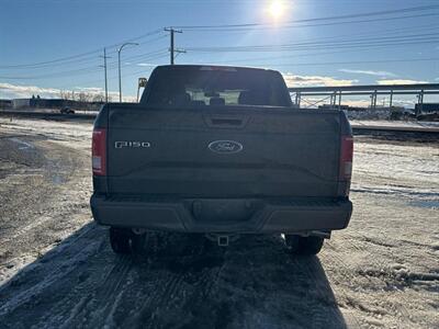 2015 Ford F-150 XLT Sport 5.0L  4x4 - Photo 8 - St Albert, AB T8N 3Z7