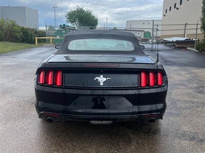 2016 Ford Mustang V6  Covertible - Photo 4 - Edmonton, AB T5L 2J7
