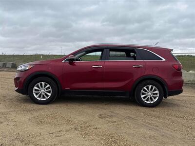 2019 Kia Sorento EX 2.4L AWD - Photo 3 - St Albert, AB T8N 3Z7