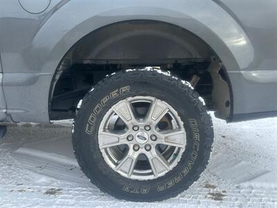 2017 Ford F-150 XLT XTR  4x4 - Photo 15 - St Albert, AB T8N 3Z7