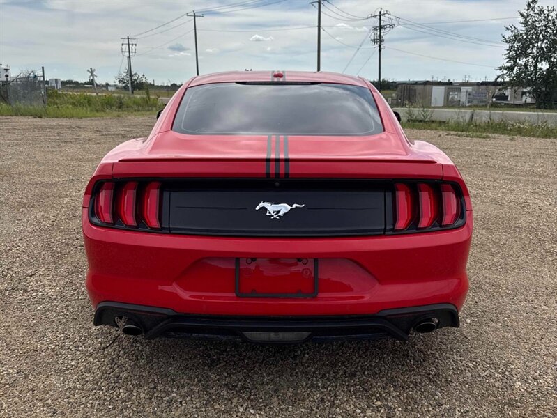2019 Ford Mustang EcoBoost - Photo 5 - Acheson, AB T7X 5A3