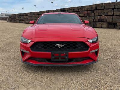 2019 Ford Mustang EcoBoost - Photo 2 - Acheson, AB T7X 5A3