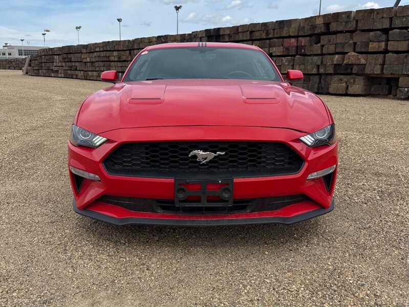 2019 Ford Mustang EcoBoost - Photo 2 - Acheson, AB T7X 5A3