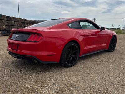 2019 Ford Mustang EcoBoost - Photo 6 - Acheson, AB T7X 5A3