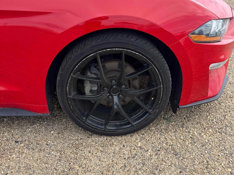 2019 Ford Mustang EcoBoost - Photo 12 - Acheson, AB T7X 5A3