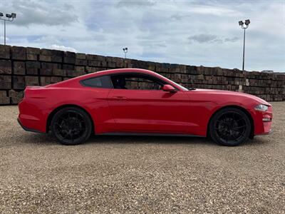 2019 Ford Mustang EcoBoost - Photo 7 - Acheson, AB T7X 5A3