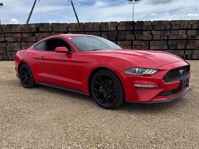 2019 Ford Mustang EcoBoost - Photo 8 - Acheson, AB T7X 5A3