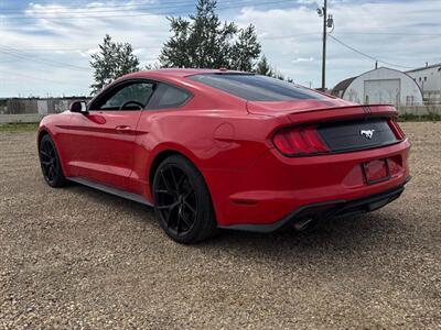 2019 Ford Mustang EcoBoost - Photo 4 - Acheson, AB T7X 5A3