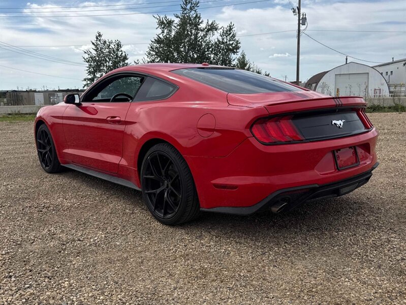 2019 Ford Mustang EcoBoost - Photo 4 - Acheson, AB T7X 5A3