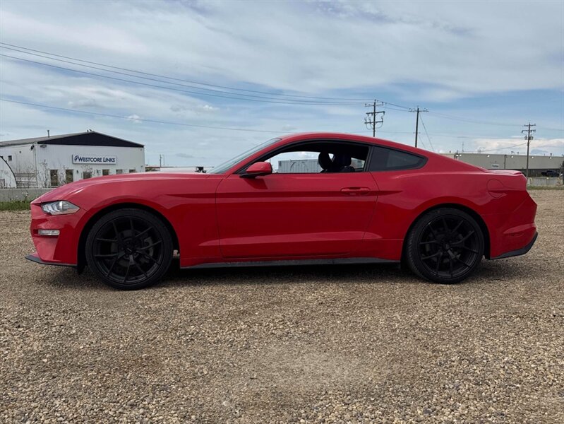 2019 Ford Mustang EcoBoost - Photo 3 - Acheson, AB T7X 5A3