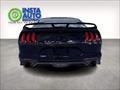 2018 Ford Mustang EcoBoost  Fastback - Photo 5 - Acheson, AB T7X 5A3
